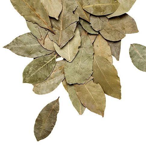 Organic Dried Bay Leaves, Packaging Type : Plastic Packet