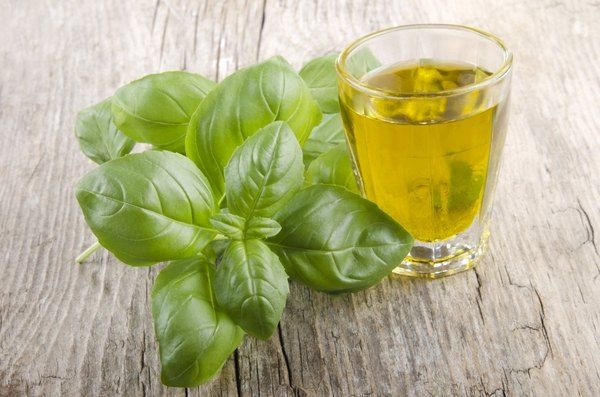 Liquid Organic Basil Oil for Spa Skin Care Body Care Shelf