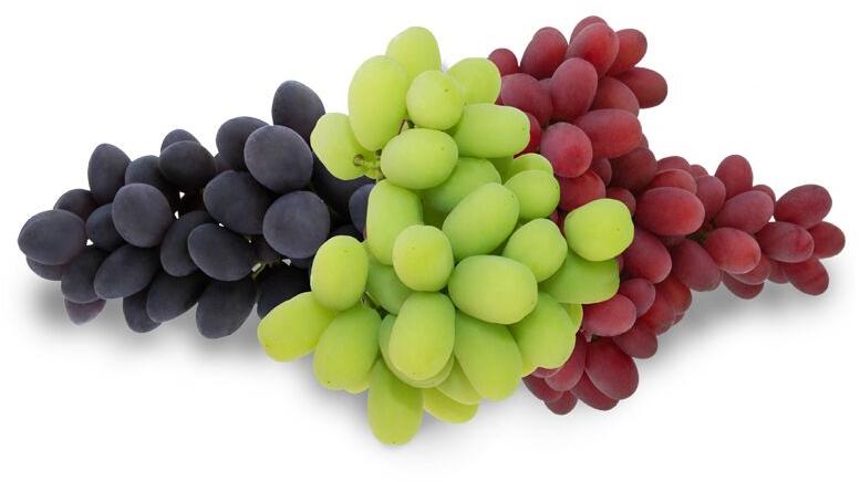 Organic/ Non Organic Fresh Grapes