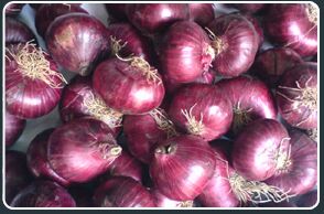 Big Rose Onion, Shape : Round, Oval