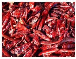 Raw Organic Dried Red Chilli, for Cooking, Grade Standard : Food Grade
