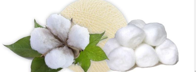 Raw cotton, Color : White