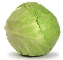Organic Fresh Cabbage