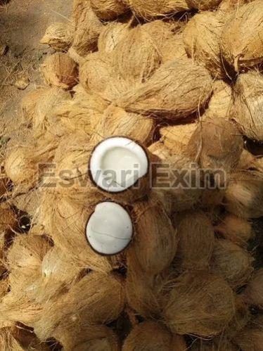 Semi Husked Soft Organic Indian Fresh Pollachi Coconut, for Free From Impurities, Easily Affordable
