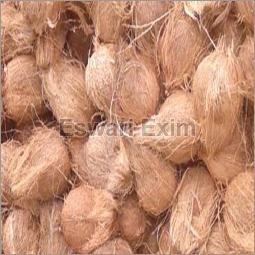 Hard Natural Semi Husked Export Coconut, for Free From Impurities, Freshness, Coconut Size : Medium