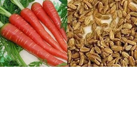 Brown Carrot Seed, for Planting, Packaging Size : 500 Gms