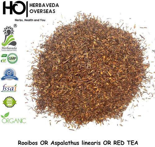 Rooibos Herbal Tea, Color : Greenish yellow