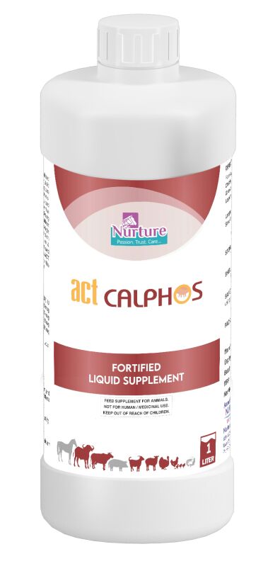 Act Calphos (Fortified Liquid Supplement)