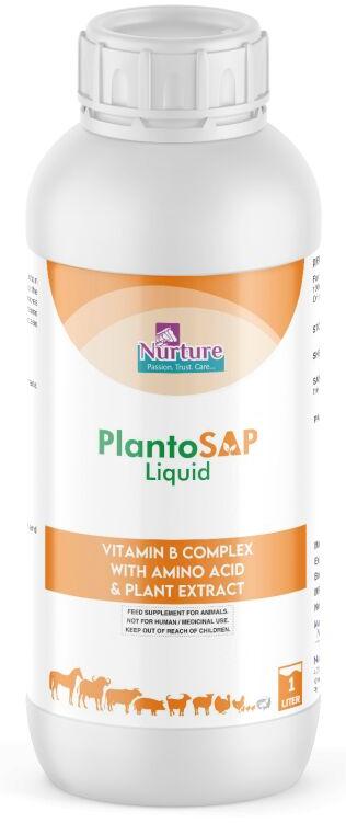 Plantosap Liquid (Vitamin B Complex With Amino Acid &amp;amp;amp;amp; Plant Extract)