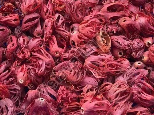 Organic Whole Mace Spice, Color : Red