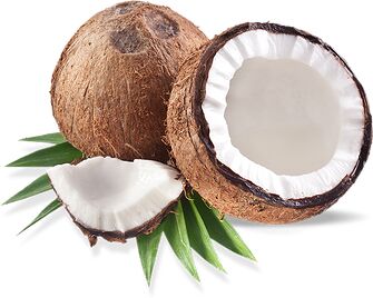 Fresh coconut, Grade : Premium