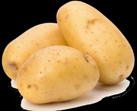 Common fresh potato, for Cooking, Home, Restaurant, Snacks, Feature : Early Maturing, Eco-Friendly
