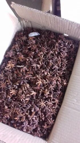 Natural Star Anise, Packaging Size : 5-20 Kg