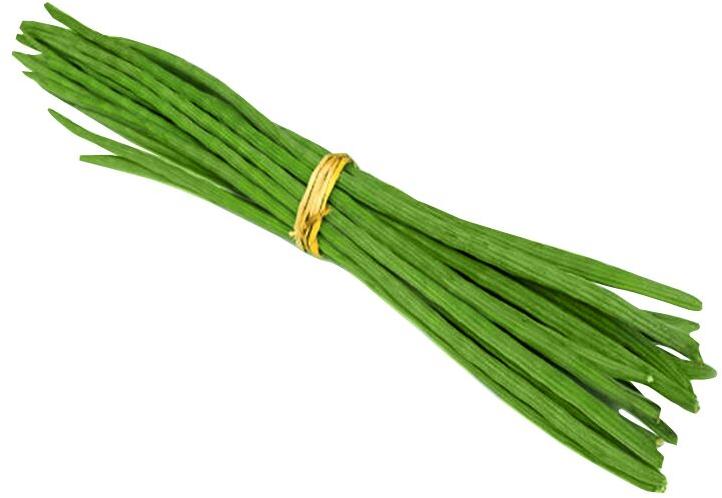 Moribhai Drumstick Vegetables, Color : Natural Green