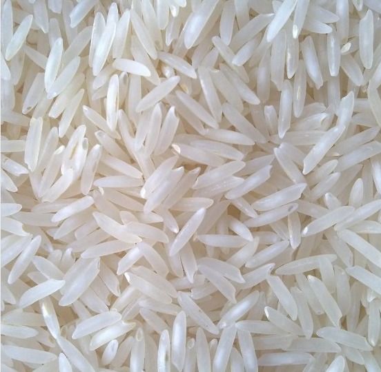 Hard 1121 Raw Basmati Rice, for Cooking, Food, Human Consumption, Packaging Type : Jute Bags, PP Bags