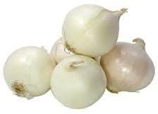 GMO Fresh White Onion, Packaging Type : Loose