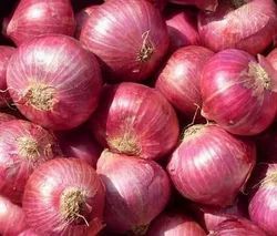 fresh red onion