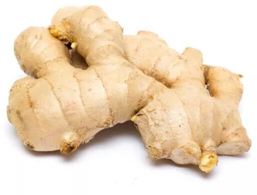 Ginger, for Cooking, Style : Fresh