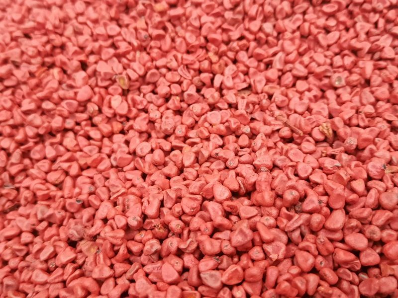 Dark Red Common annatto seeds, for Color Extract, Medicinal, Purity : 99%