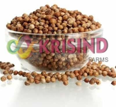 Coriander seeds