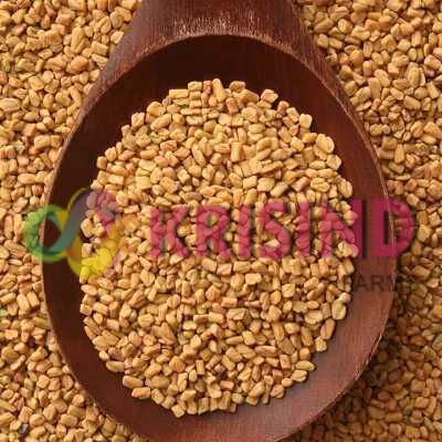 Fenugreek Seed