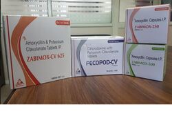 Amoxycillin Tablets IP, Packaging Type : Strips