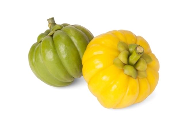 Garcinia Cambogia Extract, Style : Dried