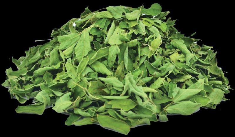 Organic Dried Sahjan Leaves, for Cooking, Healthcare products, Medicines, Feature : Insect Free, Nice Aroma