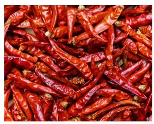 Kashmiri red chilli, Shelf Life : 6months