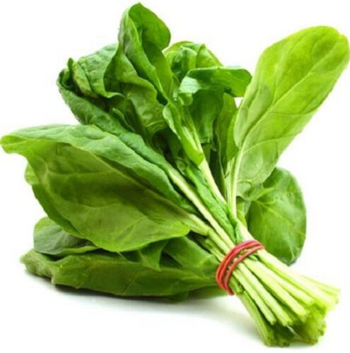 Special Shape Common Fresh Spinach