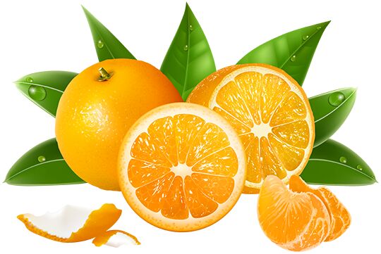Organic fresh orange, Certification : FSSAI Certified