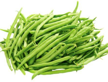 Fresh French Beans