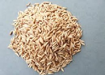 Organic Long Grain Paddy Rice, Packaging Type : Jute Bag, Plastic Bag