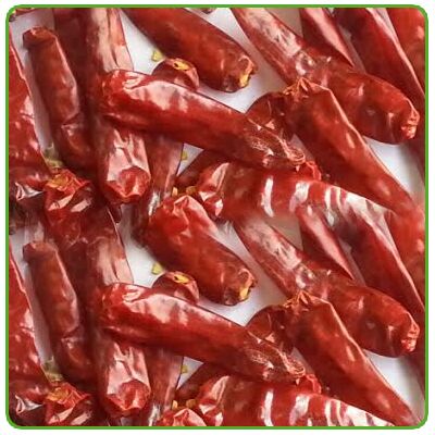 Common Endo-5 Dry Red Chilli