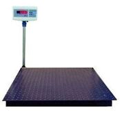 500Kg Platform Weighing Scale