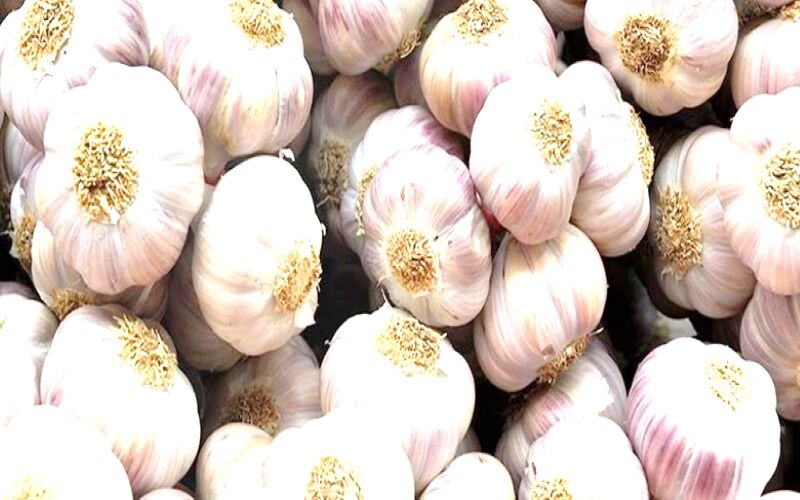 Natural fresh garlic, for Cooking, Snacks, Feature : Dairy Free