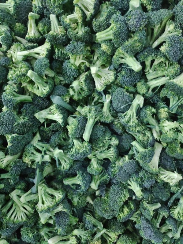 Common Frozen Broccoli, For Human Consumption, Packaging Type : Plastic Packet