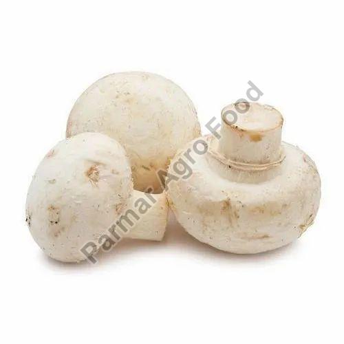 Organic Fresh Button Mushroom, for Cooking, Packaging Type : Plastic Bag