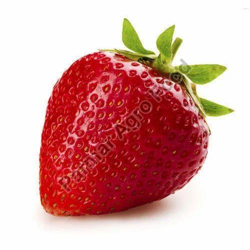 fresh strawberry