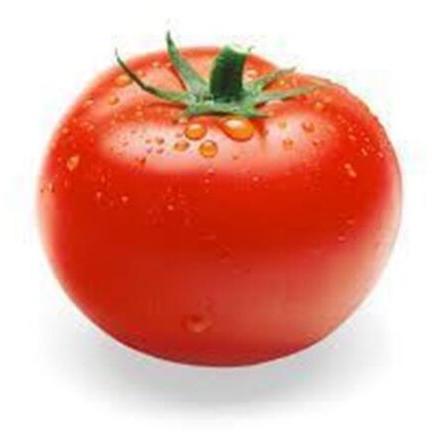 Organic Fresh Tomato, for Cooking, Skin Products, Packaging Type : Jute Bag