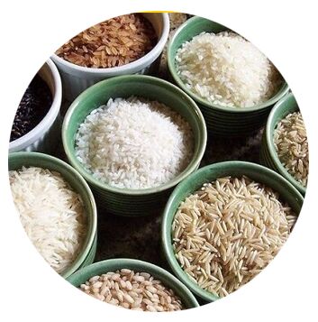 Organic Kerala Matta rice, Shelf Life : 1year