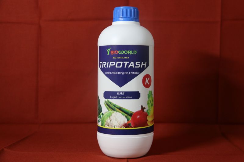 Tripotash K Potash Mobilizing Bacteria, For Agricultural, Packaging Type : Plastic Bottle, Can, Drum