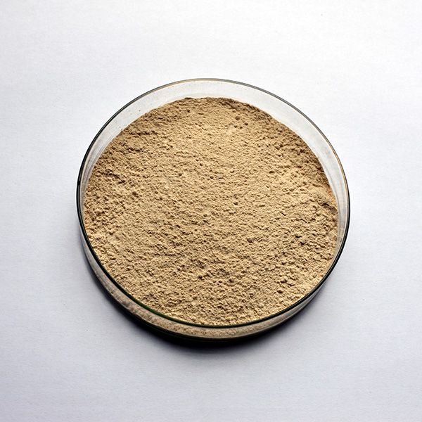Bacillus Thuringiensis Talc Based Biocontrol Agent, Packaging Type : Packet/Bag