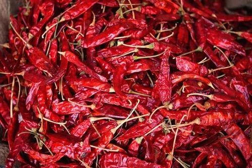 Dry Red Chilli, for Spices, Cooking, Form : Solid