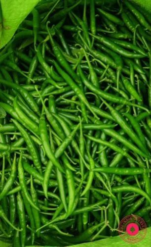 Organic Fresh Green Chilli, for Human Consumption, Cooking, Home, Hotels