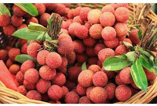 Fresh Litchi