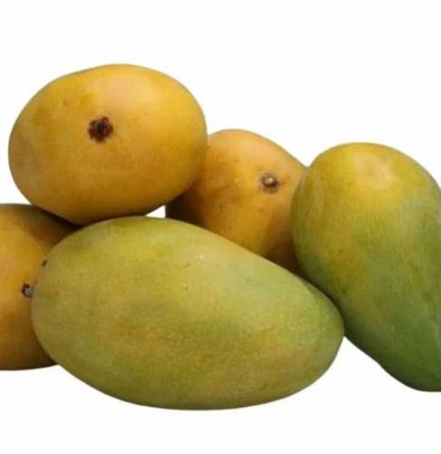 fresh mango