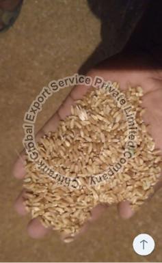 Wheat, Certification : FSSAI Certified