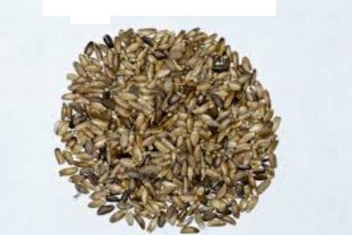 Silybum Marianum Seed, Style : Dried