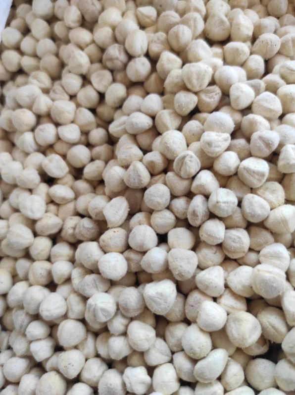 Pure Moringa Oleifera Kernel